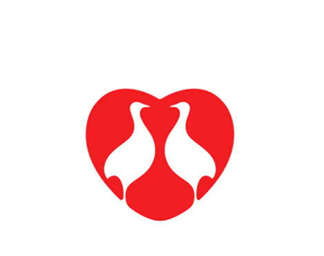 Chester Perdigão